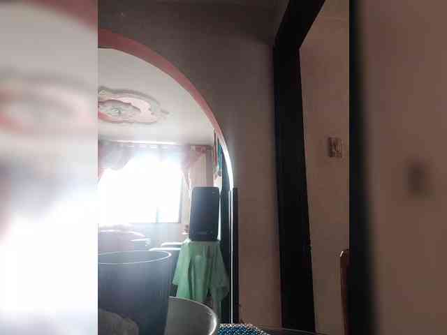 Wtwins webcam