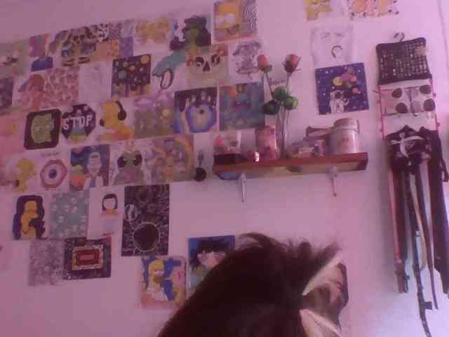 Wtwins webcam
