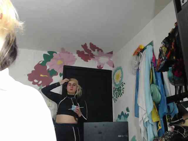 Wtwins webcam