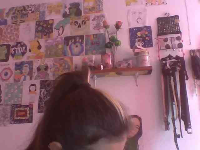 Wtwins webcam