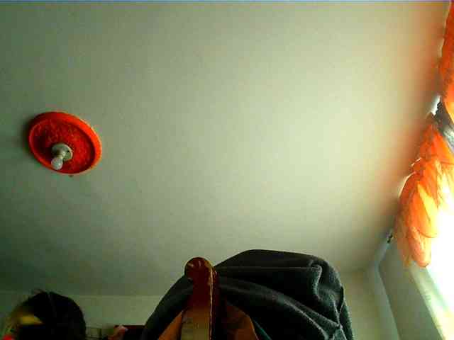Wtwins webcam
