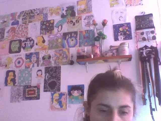 Wtwins webcam