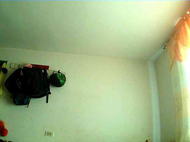 Wtwins webcam