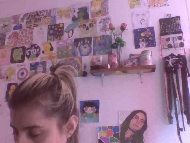 Wtwins webcam