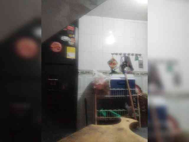 Wtwins webcam