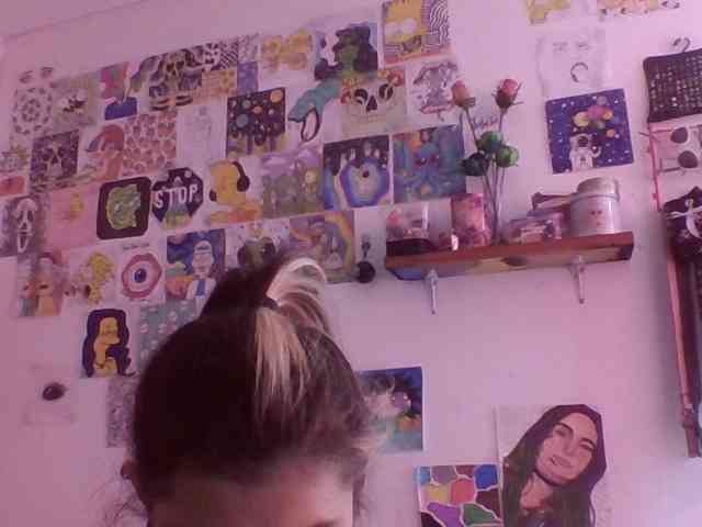 Wtwins webcam