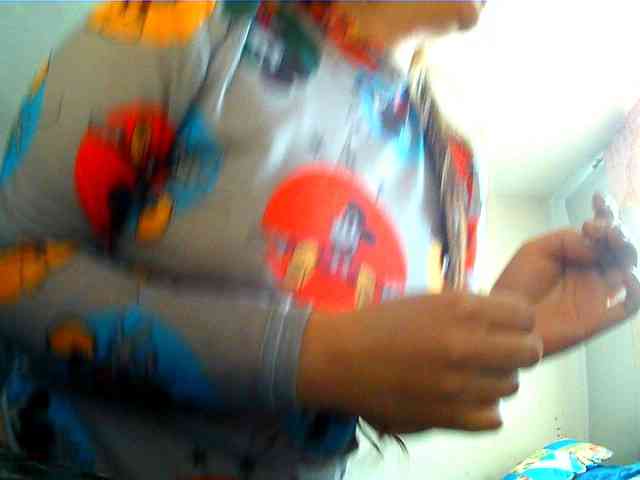 Wtwins webcam