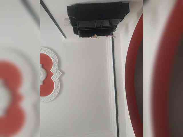 Wtwins webcam