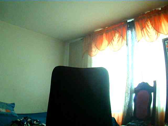 Wtwins webcam