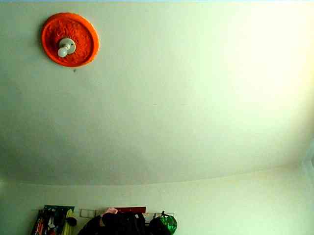 adult webcam Wtwins
