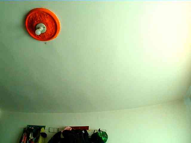 Wtwins webcam