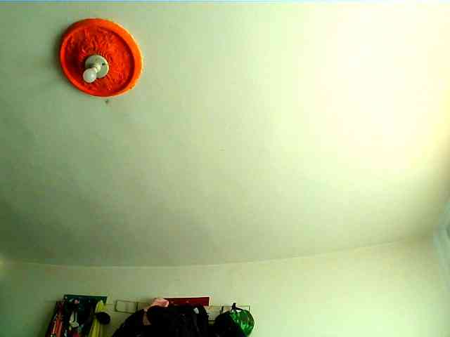 Wtwins webcam