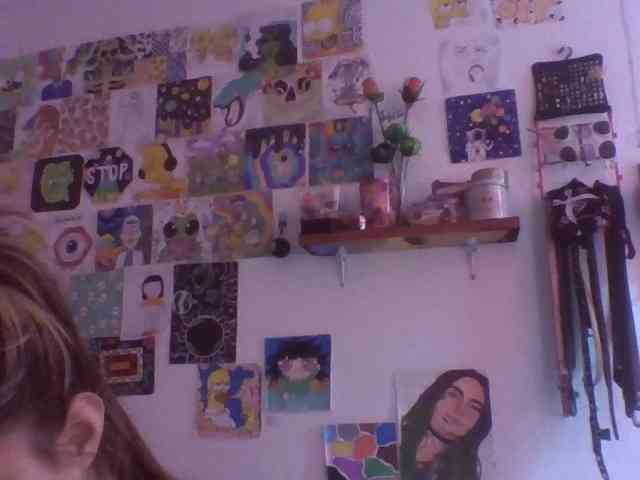 Wtwins webcam