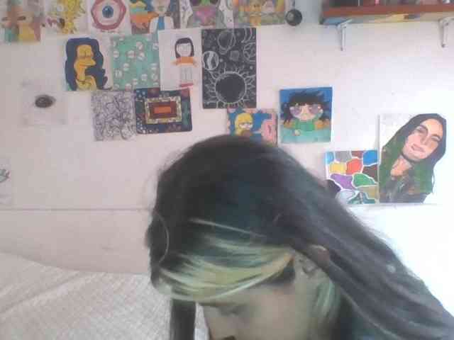 Wtwins webcam