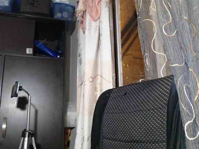 Wtwins webcam