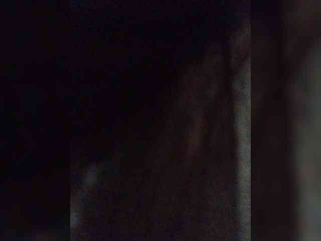 Wtwins webcam