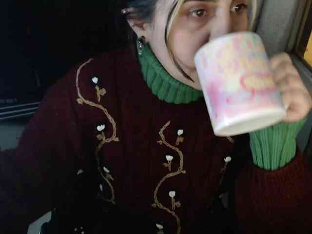 Wtwins webcam