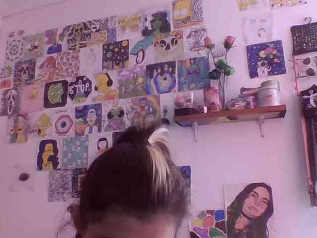 Wtwins webcam
