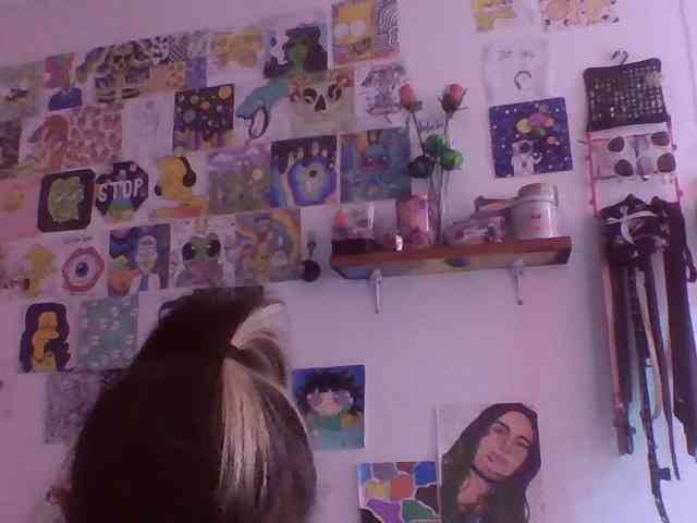 Wtwins webcam