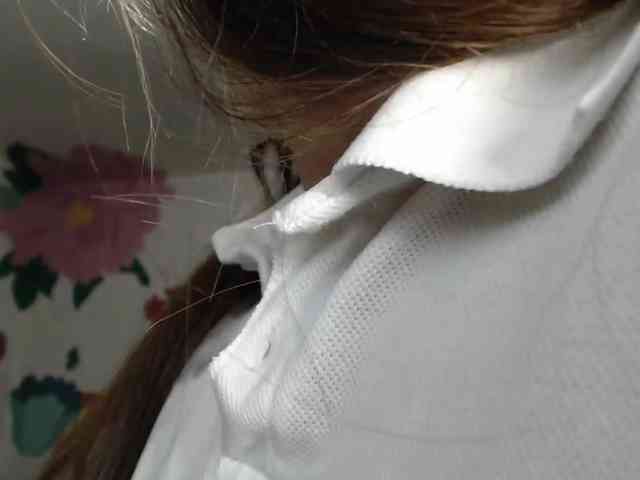 Wtwins