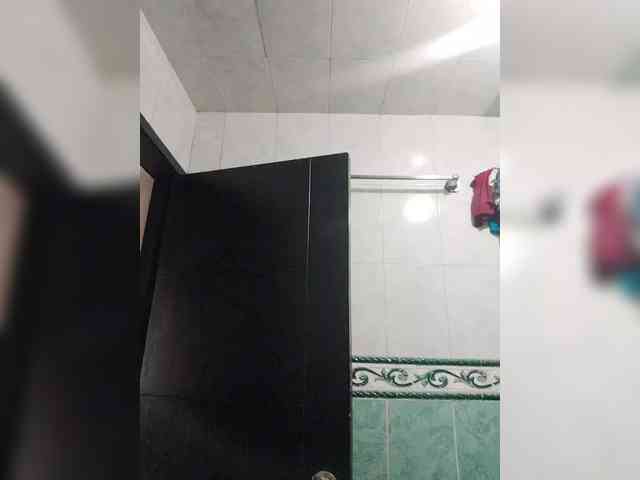 Wtwins webcam