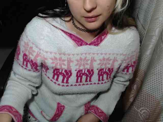 Wtwins webcam