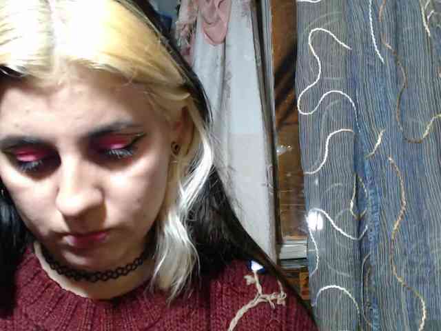 Wtwins webcam