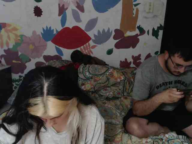 Wtwins webcam