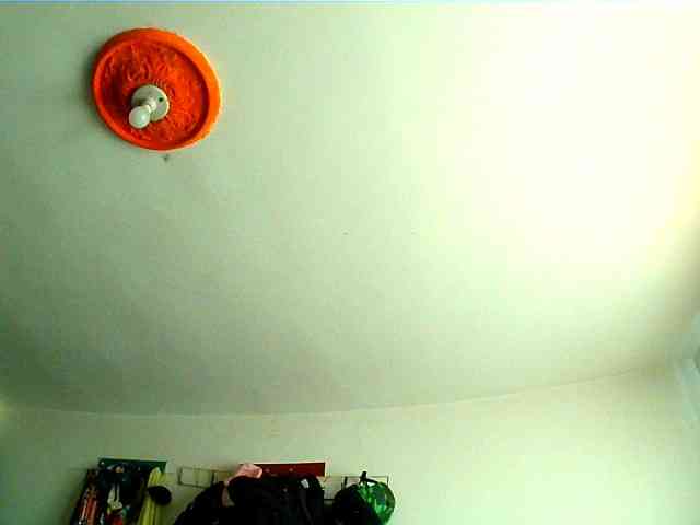 Wtwins webcam