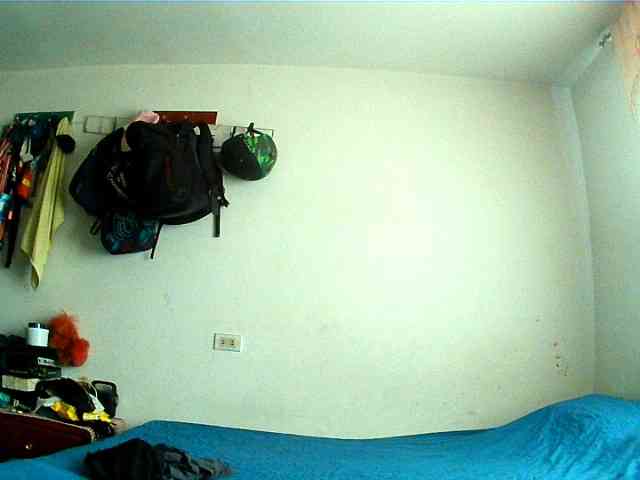 Wtwins webcam