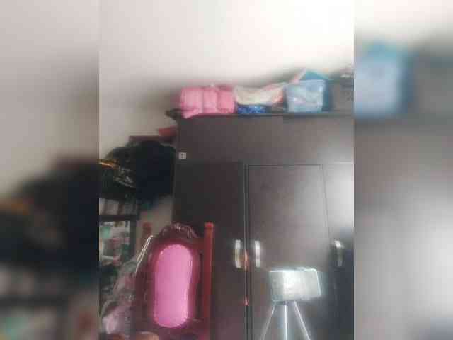 Wtwins webcam