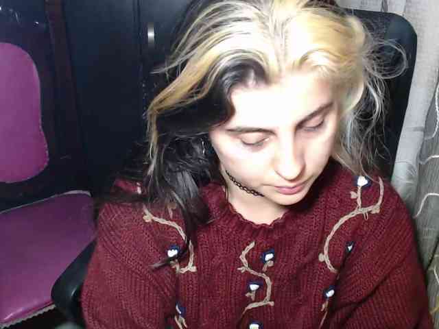 Wtwins webcam