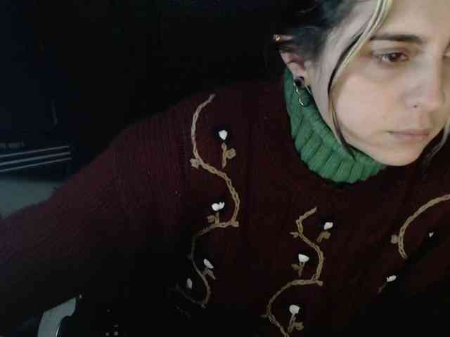 Wtwins webcam