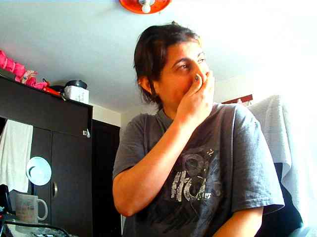 Wtwins webcam