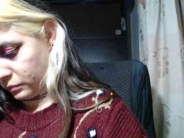Wtwins webcam