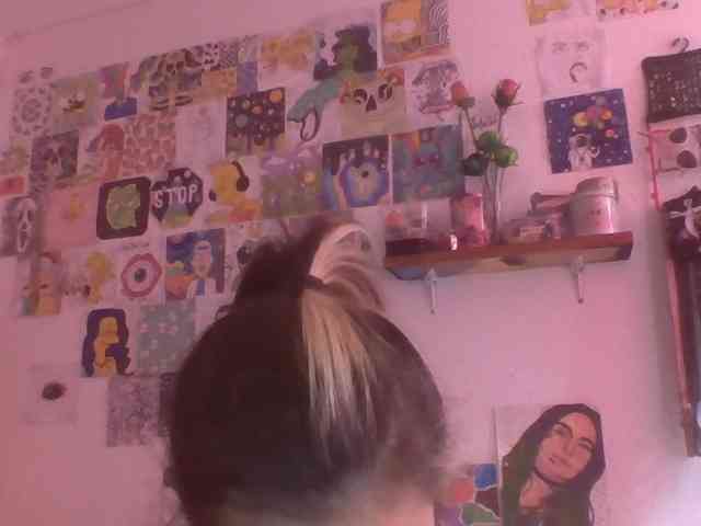 Wtwins webcam