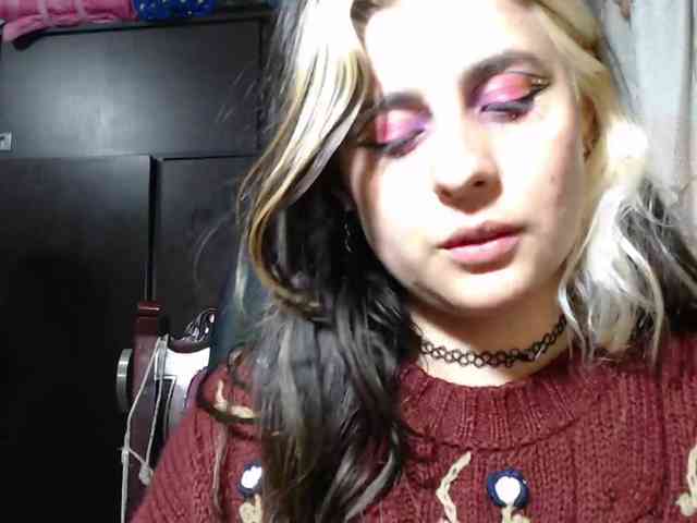Wtwins webcam