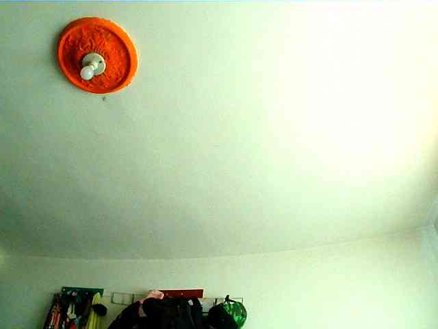 Wtwins webcam