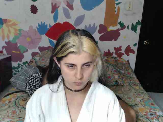 Wtwins webcam