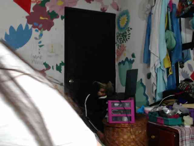 Wtwins webcam