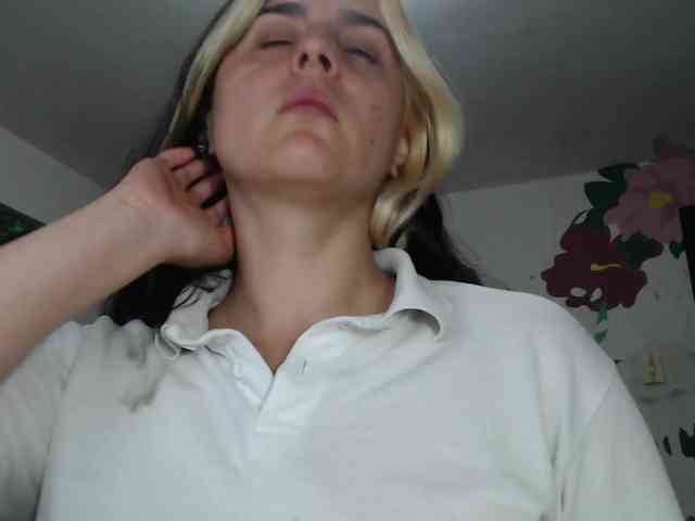 Wtwins webcam