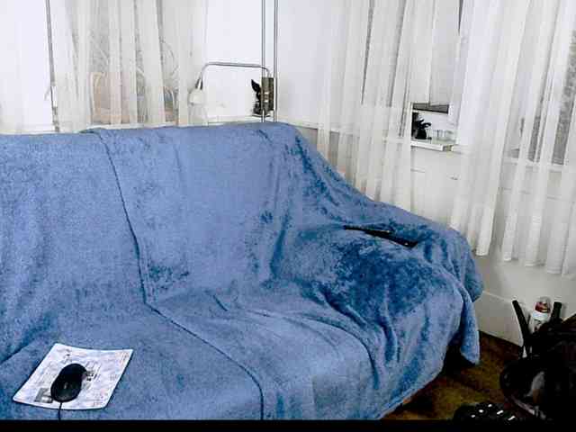 Crazy_CatLady webcam
