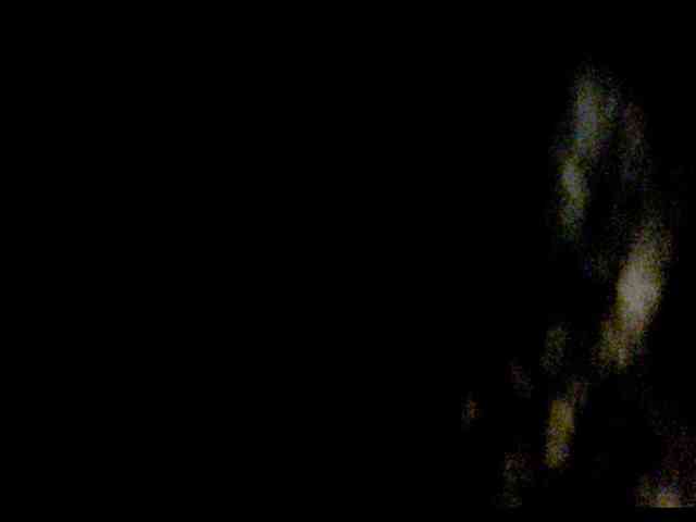 Crazy_CatLady webcam