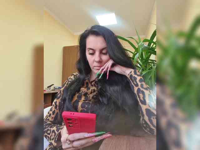 -France- webcam