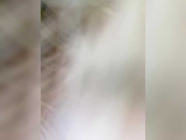 go to chat with Ellidi