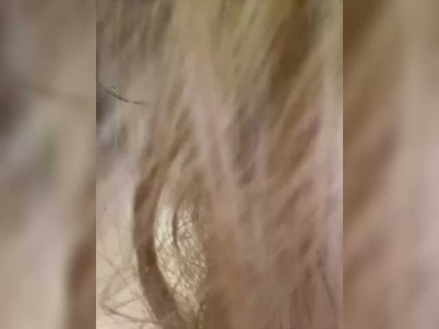 Ellidi