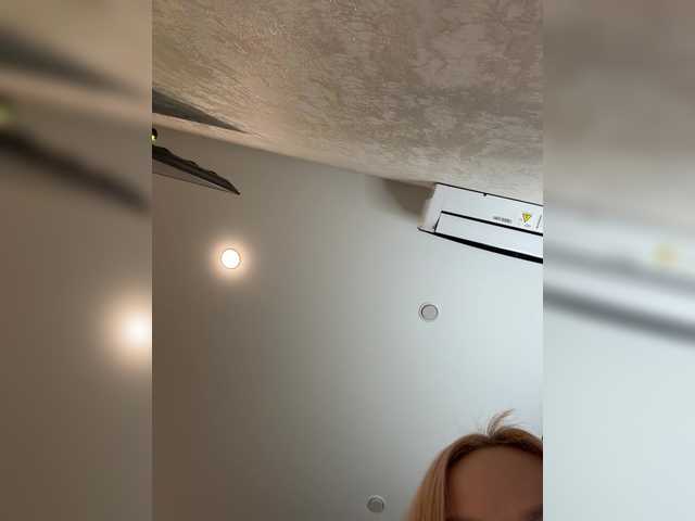Ellidi