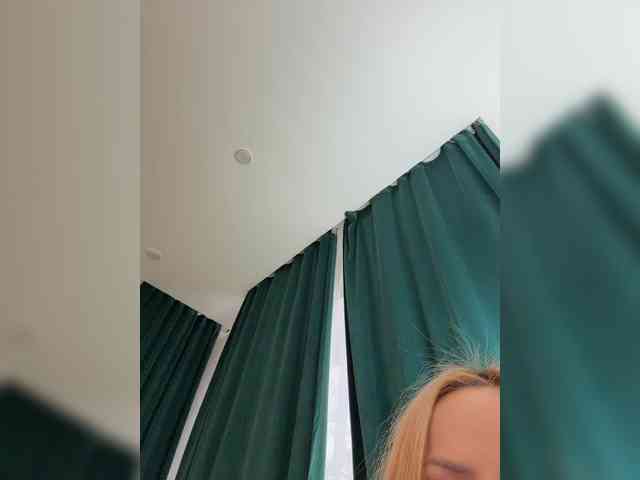 Ellidi webcam