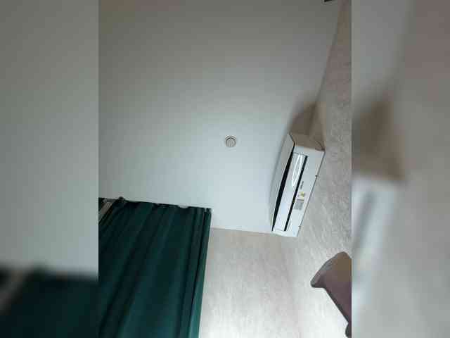 Ellidi webcam