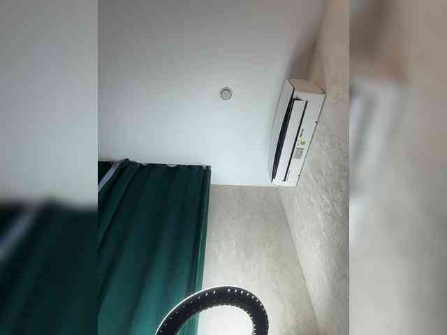 Ellidi webcam